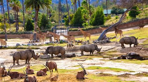 캐나다 한국일보 : 샌디에고 동물원, San Diego Zoo