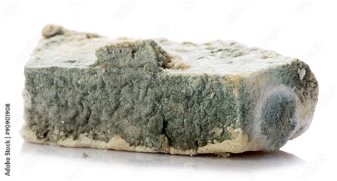 Moldy Cheese Stock Photo | Adobe Stock