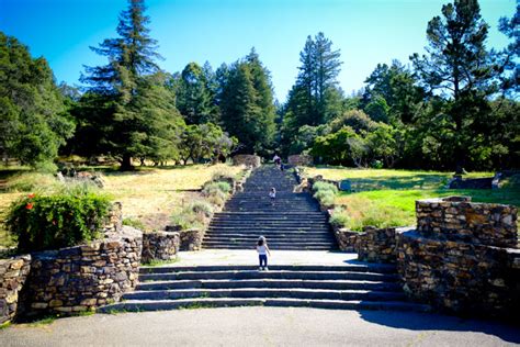 Joaquin Miller Park Has Some of the Best Views (& Lizards) in East Bay - 510 Families