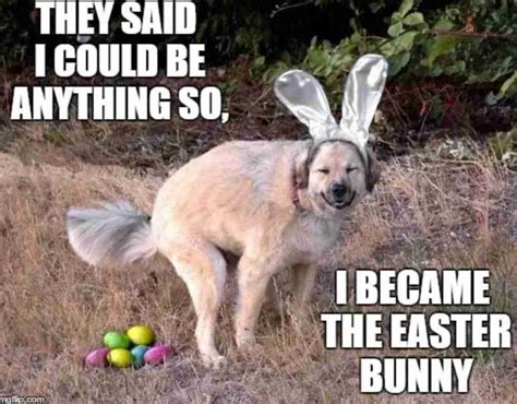 Funny Collection HAPPY EASTER Memes 2021 - Guide For Moms