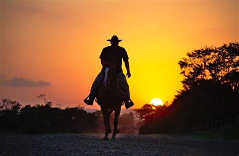 «Cowboy» HD wallpapers