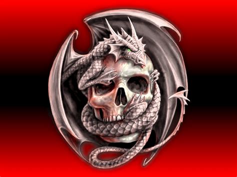 Skulls and Dragons Wallpapers - Top Free Skulls and Dragons Backgrounds - WallpaperAccess