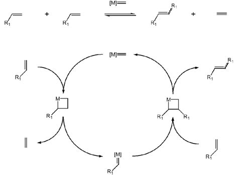 Abendessen machen Charta Luftfahrt olefin metathesis mechanism ...