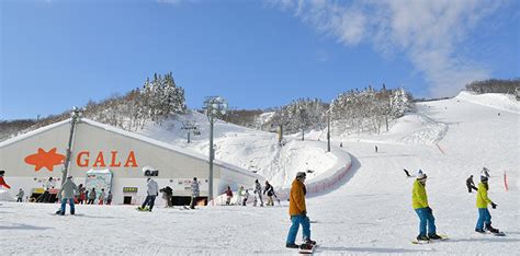 YUZAWA SNOW LINK | Niigata Prefecture | Resort Spotlight | Japan ski and snowboard resorts ...