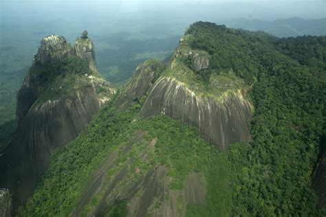 SURINAM... CORAZÓN LATENTE DEL AMAZONAS.