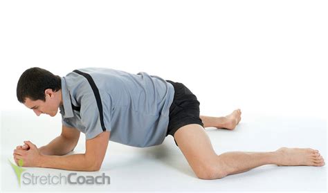 Groin Stretching Exercises