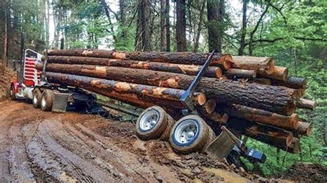 Extreme Dangerous Huge Wood Logging Truck Driving Skill, Amazing Heavy Equipment Operator Truck ...