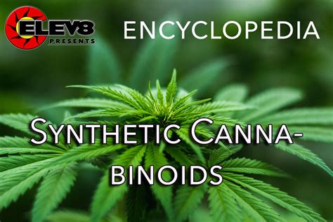 Synthetic Cannabinoids – Elev8 Presents