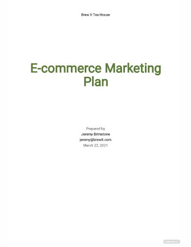 FREE 3+ E-commerce Marketing Plan Samples in PDF | DOC