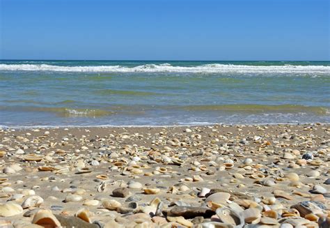 Big Shell Beach, South Beach, Padre Island National Seashore. You must have 4-wheel drive to ...