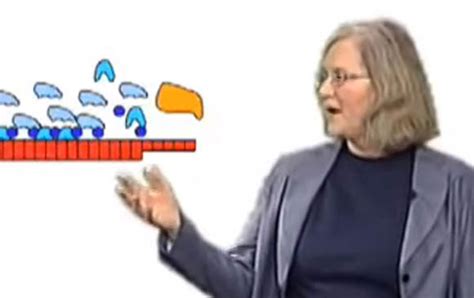 Elizabeth Blackburn: Telomeres and Telomerase - Lasker Foundation