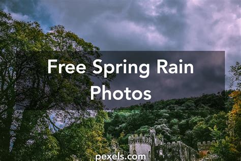 100+ Interesting Spring Rain Photos · Pexels · Free Stock Photos