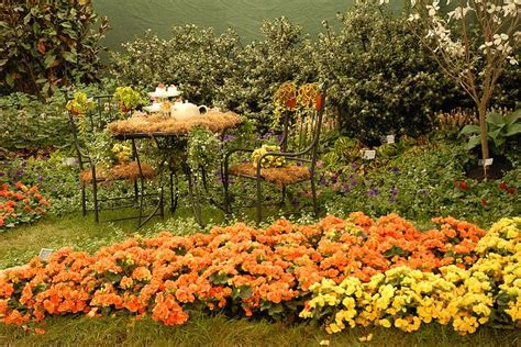 CHS_ExhibitionGardens_031 | Garden inspiration, Garden, Pumpkin patch