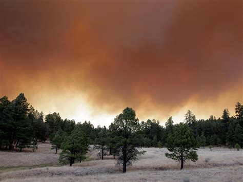 Arizona wildfires - Photo 1 - CBS News