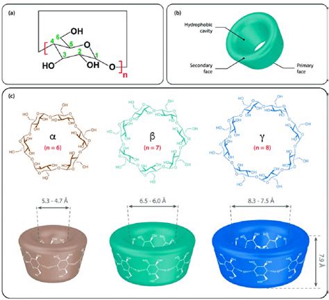 Cyclodextrin (CD) structures of (a) the monomer unit, (b) the overall ...