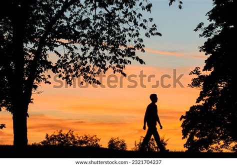 1,621 Silhouette Man Walking During Sunset Images, Stock Photos & Vectors | Shutterstock