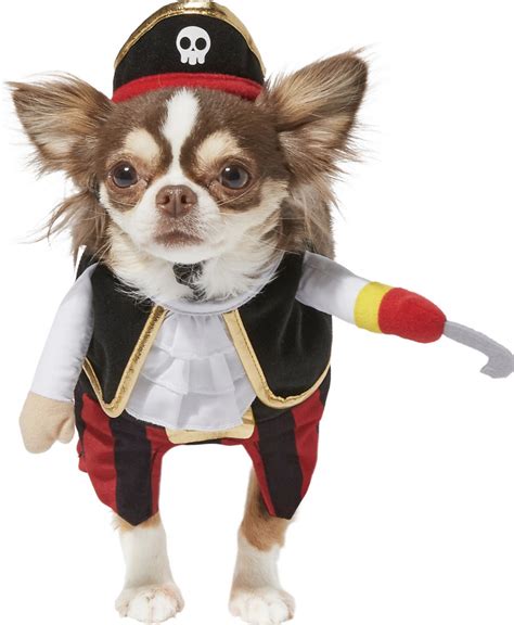 22 Super-Cute Halloween Costumes for Chihuahuas - Hey, Djangles.