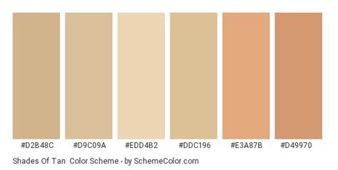 Shades Of Tan Color Scheme » Brown » SchemeColor.com