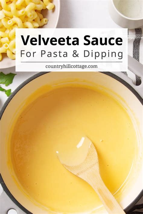 Velveeta Cheese Sauce {For Pasta & Dipping} | Recipe | Homemade cheese sauce, Velveeta cheese ...