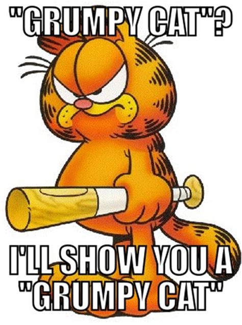 'grumpy cat'? | Garfield quotes, Garfield cartoon, Grumpy cat