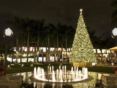 Where to see the most spectacular Christmas lights in Miami