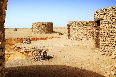 Falcon Tours | Qatar Culture Tours, The Museum of Islamic Art Qatar, Al Zubarah Fort Qatar, Al ...