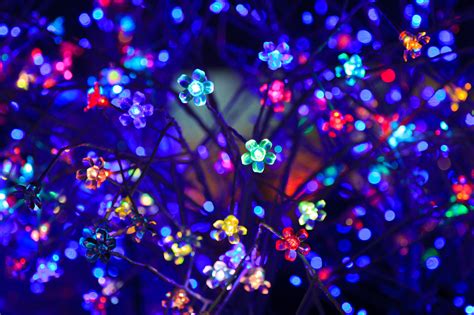 Decorative Led Lights Free Stock Photo - Public Domain Pictures