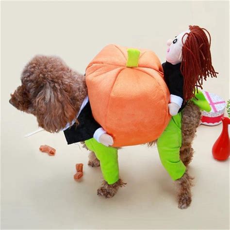 Dog Pumpkin Halloween Costume - Not sold in stores