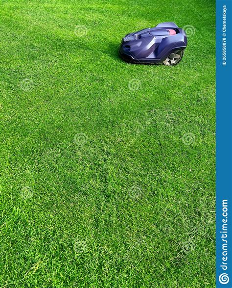 Modern Robot Lawn Mower on Green Grass in Garden Stock Photo - Image of ...