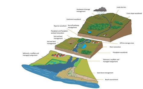 What is Natural Flood Management? - CaBA