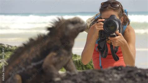 Wildlife photographer and tourist on Galapagos taking photo of Marine ...