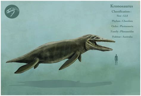 Kronosaurus | Extinct animals, Animals, Prehistoric