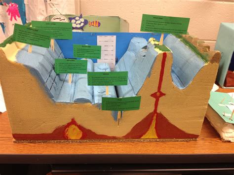 Ocean Floor Models | Science project models, Ocean projects, Science ...