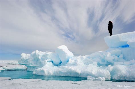 6 Tips for Incredible Arctic Photography | Arctic Kingdom