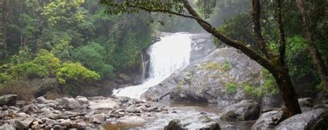 Munnar Waterfalls Where Nature's Power Reigns Supreme