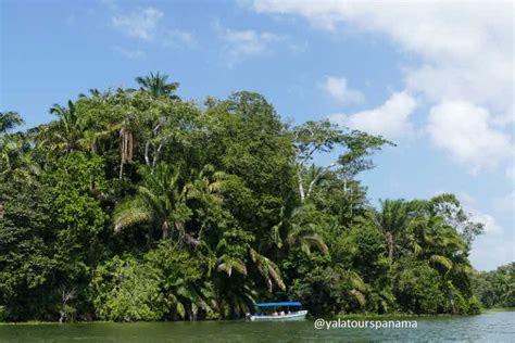 Canal boat tour and wildlife observation on Gatun Lake - Yala Tours Panama