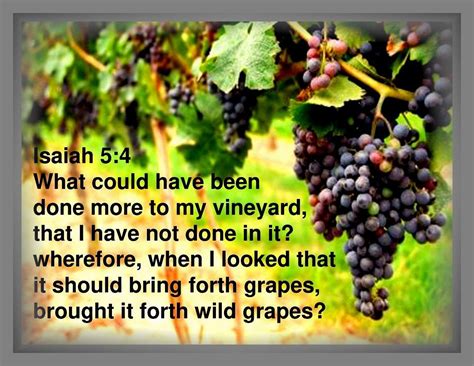 Isaiah 5:4 | Book of isaiah, Isaiah, Grapes