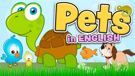 Easy Pets For Kids These Worksheets Are Great For Kindergarten Students ...