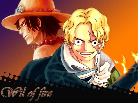 *Ace Will Live Through Sabo* - One Piece Photo (37233236) - Fanpop