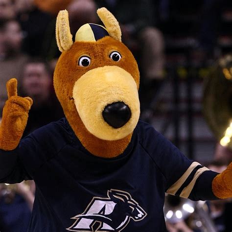 The Akron Zips & D1 College Mascots Nobody Has Ever Seen in Real Life ...