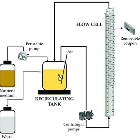 Schematic representation of the flow cell system (adapted from [3]). | Download Scientific Diagram