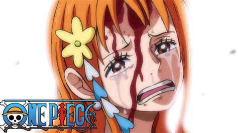 Nami says Luffy will become Pirate King | One Piece - Episode 1008 ...