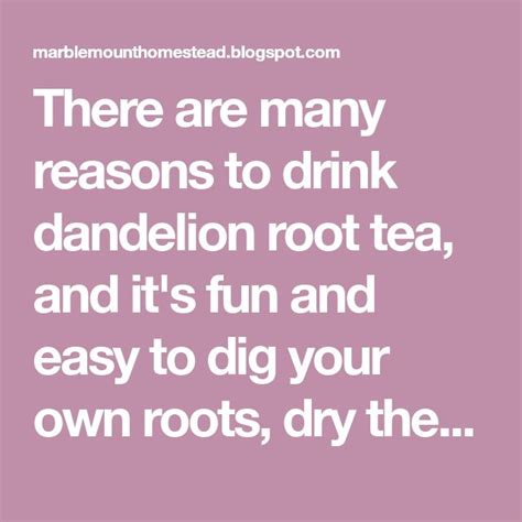 There are many reasons to drink dandelion root tea, and it's fun and easy to dig your own roots ...