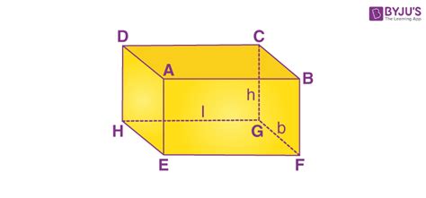 Cuboid - Definition, Shape, Formulas, Properties, Cuboid Net, Examples