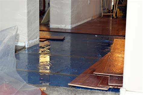 Wood Floor Water Damage: Should You Repair or Replace It? | National Restoration Experts