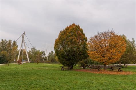 City Park on an Autumn Morning Stock Photo - Image of countryside ...