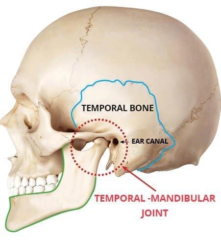 TMJ - Temporomandibular Joint - What Is TMJ and How Can It Be Treated?