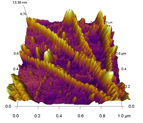 Atomic force microscope will investigate muscle movement at molecular level – The NAU Review