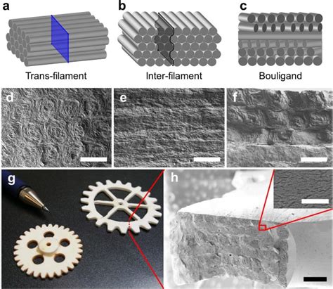 3D Printing Bioinspired Ceramic Composites | Scientific Reports