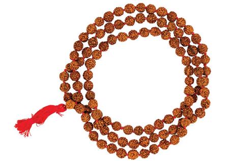 The Power of Rudraksha - Open The Magazine